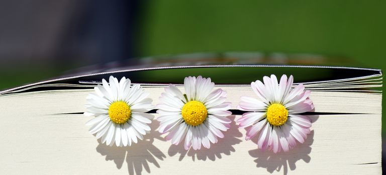 Lust aufs Lesen mit den Bücherwelten